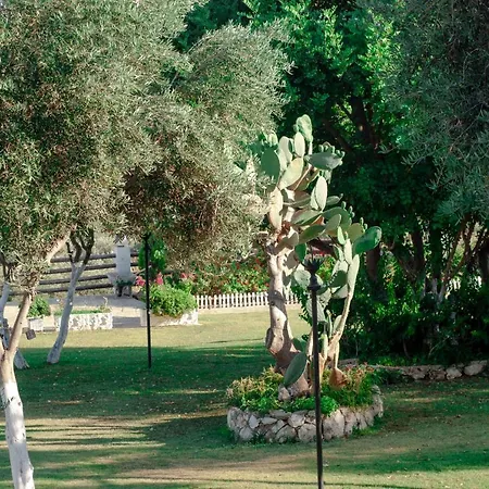 Akrapol Boutique Hotel Kas